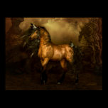 Shikoba buckskin horse Poster posters