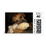 SHILA STAMP.