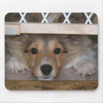 Shiloh Mousepad