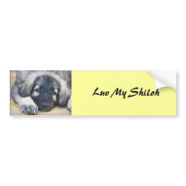 Shiloh Shepherd bumper stickers by Cazzies_Creations Shiloh Shepherd bumper stickers