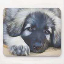 Shiloh Shepherd mousepads by Cazzies_Creations Shiloh Shepherd mousepads