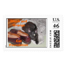Shiloh the one eyed cat postage stamp