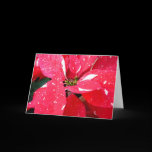 Shimmer Star Surprise Poinsettia Card