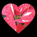 Shimmer Star Surprise Poinsettia Heart Sticker