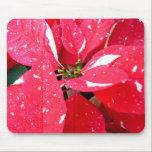 Shimmer Star Surprise Poinsettia Mousepad