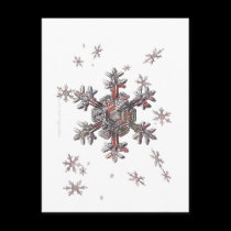Shimmering Snowflake Postcard postcards