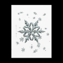 Shimmering Snowflake Postcard postcards