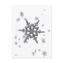 Shimmering Snowflake Postcard by Rockangel1 Shimmering Snowflake Postcard