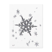Shimmering Snowflake Postcard