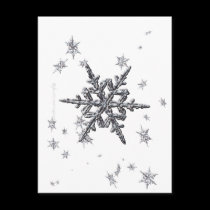 Shimmering Snowflake Postcard