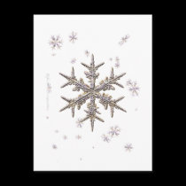 Shimmering Snowflake Postcard