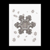 Shimmering Snowflake Postcard