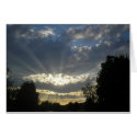 Shine card