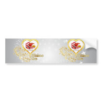 Shine On Illinois Bumper Sticker