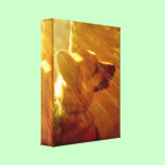 Shine On Me German Shepherd #2 Alt Canvas Print canvas prints