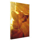 Shine On Me German Shepherd #2 Stretched Canvas Print