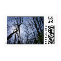 shine postage stamp