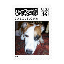 Shiner is bored stamps