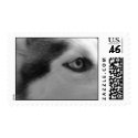 Shiner postage