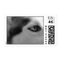 Shiner postage by Mer71567 Shiner postage