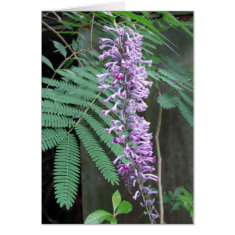 Shining Butterfly Bush card