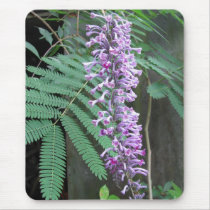 Shining Butterfly Bush mousepads