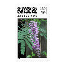 Shining Butterfly Bush postage