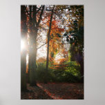 Shining Light Canvas & Poster Print