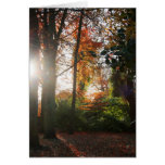 Shining Light Greetings & Note Card