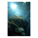 Shining Through posters by bengotow Shining Through posters