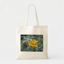 Shining Yellow wattle Tote Bag