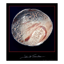 Shino Bowl ~ 1988 posters