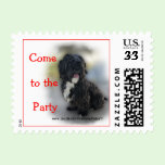 ShinTzu Postage Stamp- customize stamps