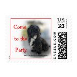 ShinTzu Postage Stamp- customize