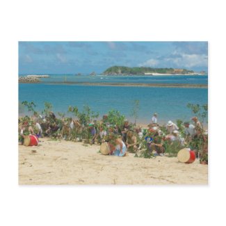 Shinugu Festival Post Cards postcard