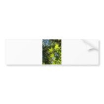 shiny green leafs bumper stickers