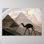 Ship Of The Desert Poster