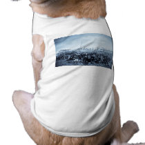 Shipbuilding - vintage - circa 1890s pet clothing