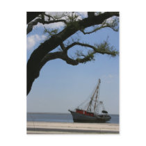 Ships Ahoy Post Card postcards by CatsPlace Ships Ahoy Post Card postcards