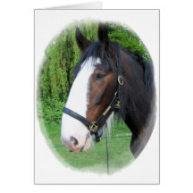 Shire horse card