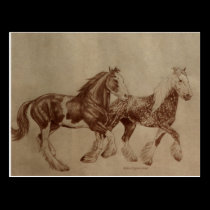 Shires Freedom Postcard postcards