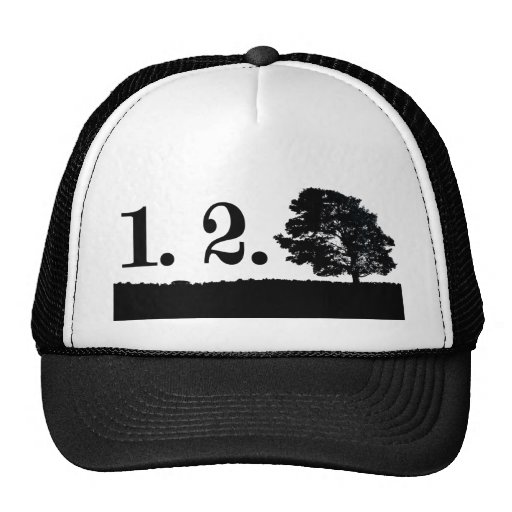 shirt123 hats