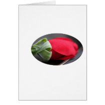 shirt, appron, rose, baby, kids, clothes, cups cards