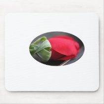 shirt, appron, rose, baby, kids, clothes, cups mousepads