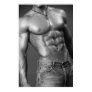 Shirtless Male In Jeans Poster Shirtless Male In Jeans Poster