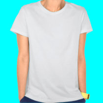 Shitt Romney  for President of America t-shirts