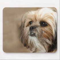 Shitzu Yorkie Terrier mousepads