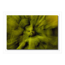 Shiva's Mudra posters