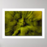 Shiva's Mudra Poster