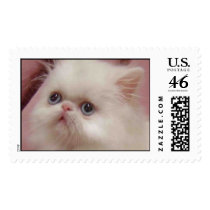 SHO SWEET postage